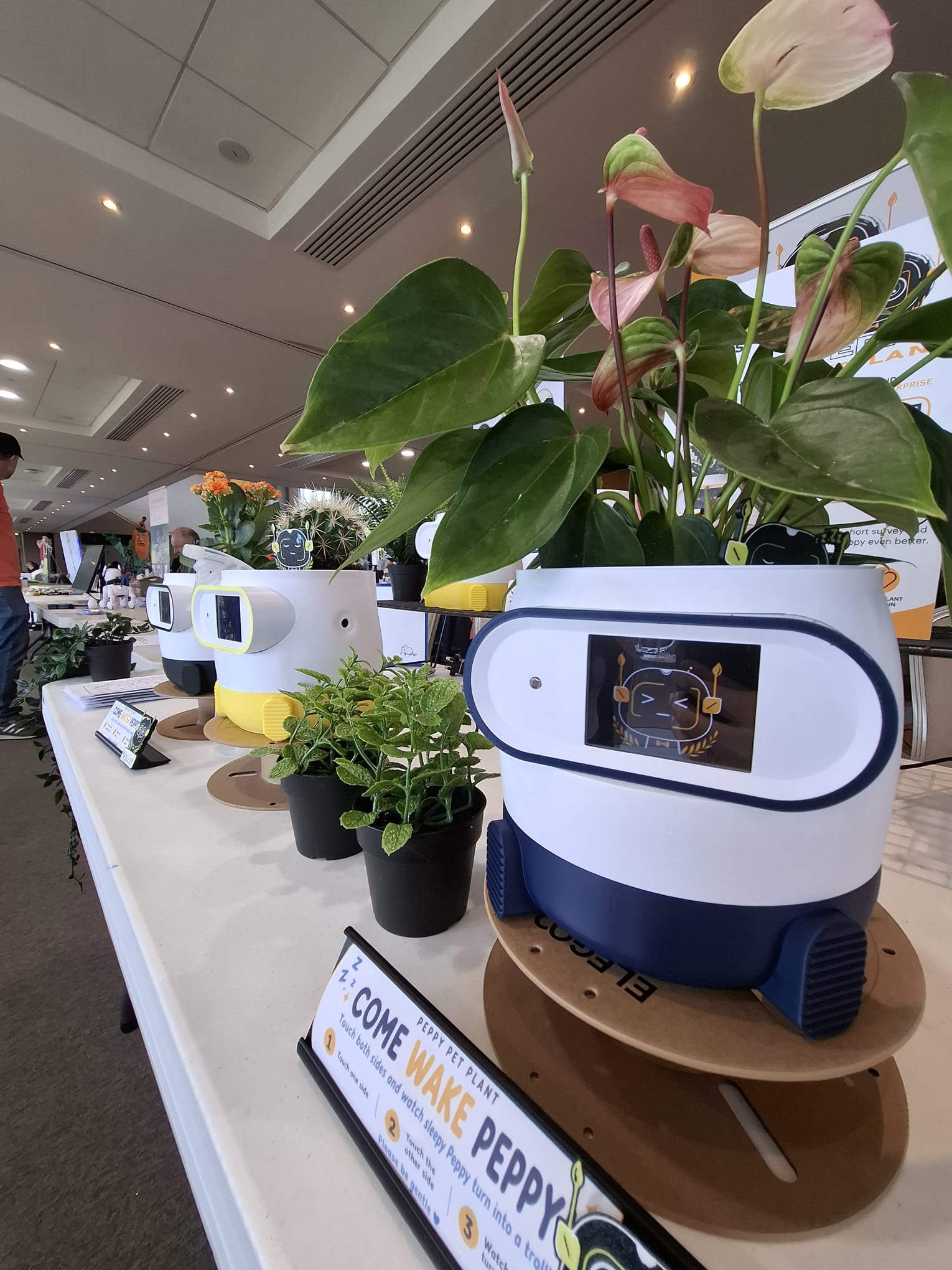 Peppy smart planters on display at Dublin Maker 2026